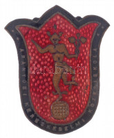 ~1920-1930. 'Aranyosi Kereskedelmi Középiskola' zománcozott Br sapkajelvény (49,5x41mm) T:2 kis zománchiba