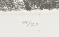 Szemethy Imre (1945- ): Világvége, 1996 . Rézkarc, papír, jelzett,számozott (19/20) üvegezett fa keretben, 19,5×29 cm