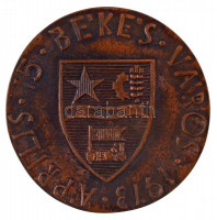 Csíkszentmihályi Róbert (1940-) 1973. 'Városunkért / 1973. április 15. Békés Város' Br emlékérem (78mm) T:1-,2