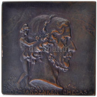 Ausztria 1904. 'A semmeringi vasút 50. évfordulójára' Br plakett. Szign.: R. Marschall (54x54mm) T:2Austria 1904. 'For the 50th Anniversary of the Semmering Railway' Br plaque. 'DEM ANDENKEN CHEGAS / ANLäSSLICH DER FEIER DES 50 J. BESTANDES