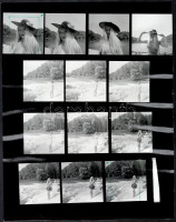 cca 1987 Egy aktfotózás vizuális naplója, Menesdorfer Lajos (1941-2005) budapesti fotóművész hagyatékából 52 db vintage fotó, 6x6 cm, a képeket hordozó fotópapír mérete 24x30 cm