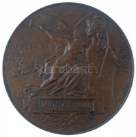 Franciaország 1889. 'Exposition Universelle / Republique Francaise' kétoldalas, névre szóló Br emlékérem 'Jantsits Sándor' részére (63mm) T:1-