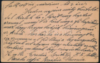 1917 Tábori posta levelezőlap járványkórházból / Field postcard 'K.u.k. EPIDEM ESPITAL IN BRSADIN' - 'ARAD'
