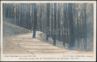 Ausztria 1916