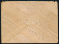 1917 Nyírfakéregre írt, festett levelezőlap borítékkal Irkutszkból Mezőtúrra, orosz és vöröskeresztes cenzúrákkal / Field postcard made of birchbark from Irkutsz to Mezőtúr, with Russian and Red Cross censorship