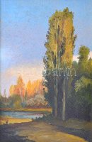 Jelzés nélkül: Tóparti fák. Olaj, karton, dekoratív keretben. 30x20cm