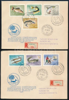 1967 (2 db)