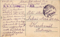 1918 Sósmező, Poiana Sarata; magyar határ / Hungarian border + 'K.u.K. Feldspital Nr. 813.'