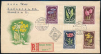 1951