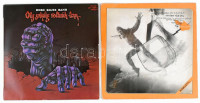 2 db bakelit hanglemez: Hobo Blues Band - 'Oly sokáig voltunk fenn..'; Nagy Feró - 'Hova lett...' (A Bikini együttes bemutatkozó albuma), eredeti papírtokban