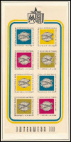 NDK 1965