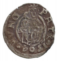 1594K-B Denár Ag 'Rudolf' (0,45g) T:2- patina Hungary 1594K-B Denar Ag 'Rudolf' (0,45g) C:VF patinaHuszár: 1059.,Unger II.: 811.a
