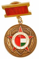 Szovjetunió 1991. 'Déli Hadseregcsoport Magyarország Szolgálati Érem' műgyantás kitüntetés T:1-Soviet Union 1991. Southern Group of Forces 'YUGV' Hungaria 1956-1991 service medal C:AU