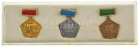 ~1960. 'A Szakma Ifjú Mestere - KISZ' zománcozott, aranyozott bronz, ezüstözött bronz és bronz kitüntető jelvények dísztokban (3xklf) T:1-,2