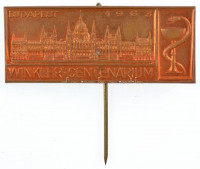 1963. 'Budapest - Winkler Centenárium' Br kitűző (18x43mm) T:2
