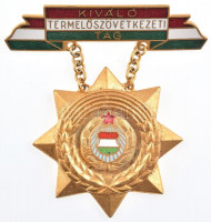 ~1970. 'Kiváló Termelőszövetkezeti Tag' zománcozott, aranyozott bronz kitüntetés T:2