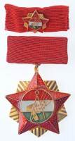 ~1970-1980. 'Szakszervezetek Országos Tanácsa Elnöksége' arany fokozatú, műgyantás kitüntetés mellszalagon, miniatűrrel szalagsávon, eredeti tokban T:1-