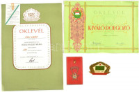1979. '250 ezer km balesetmentesen' zománcozott fém autójelvény oklevéllel és igazolvánnyal (71x96mm) + 1985. 'Kiváló Dolgozó' aranyozott, zománcozott fém kitüntetés eredeti tokban, miniatűrrel, használt állapotú oklevéllel T:1-2