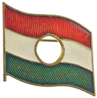 DN 'Lyukas magyar zászló' zománcozott fém jelvény (20x25mm) T:1- apró karc