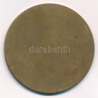 DN 'Országos Vadászati Védegylet - 1881' egyoldalas bronz emlékérem (51mm) T:1,1-