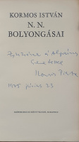 Kormos István: N. N. bolyongásai.