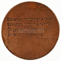 1993. 'Vakok és Gyengénlátók Országos Szövetsége - 1918-1993 / Szívembe hordom én a lángot, - szívembe hordom a napot, - Óh gyújtsatok rokon világot, - Én látok; ti is lássatok! - Reviczky Gy.' öntött Br emlékérem. Szign.: MI