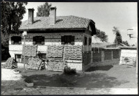 Engi László: Szárad a dohány, nagyméretű fotó hátoldalon feliratozva, 39,5×27,5 cm