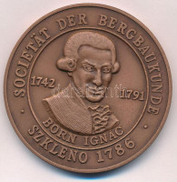 1986. 'Országos Magyar Bányászati és Kohászati Egyesület - Közgyűlés Miskolc 1986 / Societät der Bergbaukunde Szkleno 1786 - Born Ignác 1742-1791' kétoldalas bronz emlékérem (60mm) T:1