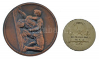 DN 'Birkózók' egyoldalas Zn érem (60mm) + 1952. 'Rövidtávfutó' ezüstözött díjérem sérült tokban (36mm) T:2