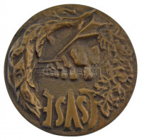 DN 'CSVSE (Csongrádi Vízügyi Sportegyesület)' egyoldalas, öntött bronz plakett (~69-70mm) T:2