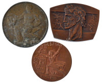 6 darabos magyar bronz és fém emlékérem, emlékplakett és díjplakett tétel, közte Peternák Gusztáv (1928-) 1975. 'Komárom megyei Vasas Sportnap / Hazánk 30 éve szabad 1945-1975' kétoldalas bronz emlékérem (60mm) T:1-,2 közte patina