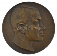 Ausztria 1910. 'IOSEF KAINZ / 20. SEPT. 1910' bronz emlékérem. Szign.: Hofner (60mm) T:1-,2 kis ph.Austria 1910. 'IOSEF KAINZ / 20. SEPT. 1910' bronze commemorative medallion. Sign.: Hofner (60mm) C:AU,XF small edge error