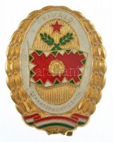 ~1970-1980. 'Kiváló Szakaszparancsnok' aranyozott műgyantás jelvény (40x32mm) T:1-