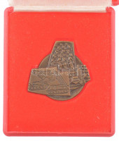 ~1970. 'Magyar Néphadsereg' fegyvernemeket ábrázoló bronz emlékplakett eredeti, sérült tokban (38x37mm) T:UNC