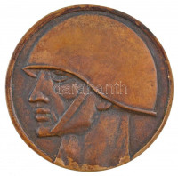 DN 'Magyar Néphadsereg - 1514-1848-1919' kétoldalas, öntött bronz emlékérem, eredeti sérült tokban (80mm) T:1-