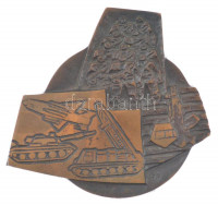 Rózsa Péter (1936-) 'MN (Magyar Néphadsereg)' bronz emlékplakett (105-110mm) T:AU