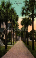 St. Augustine, palm row