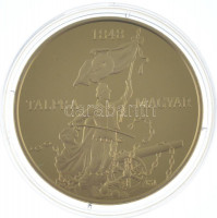 Csontos Attila DN 'Talpra magyar - Az 1848-as forradalom története / Bánk bán' aranyozott bronz emlékérem (38mm) T:PP
