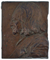 Ausztria(?) DN 'Franz Liszt' egyoldalas, vastag bronzozott fém plakett. Szign: Franz Stiasny (~66x54mm) T:VF,F hajlott, anyaghiány, patinaAustria(?) ND 'Franz Liszt' one-sided bronze plaque. Sign.: Franz Stiasny (~66x54mm) C:VF,F bent, missing