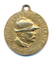 Franciaország 1918. 'Türelem, erőfeszítés, bizalom / Az emberiségért' kétoldalas, I. világháborús Cu emlékérem füllel (26mm) T:2,2- patinaFrance 1918. 'Patience, Effort, Confiance / Pour L'Humanité' two-sided World War I Cu