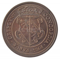Hollandia 1979. '400 éves az Utrechti Unió' Cu-Ni kétoldalas emlékérem eredeti dísztokban (25mm) T:1Netherlands 1979. '400th anniversary of the Utrecht Union' two-sided Cu-Ni medallion in original case (25mm) C:UNC