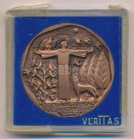 Lengyelország 1982. 'Assisi Szent Ferenc születésének 800. évfordulója' kétoldalas bronz emlékérem eredeti tokban. Szign.:Katarzyna Piskorska (45mm) T:1 kettévált tokPoland 1982. '800 Lecie Urodzin Sw Franciszka Asyżu' two sided