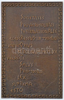 Németország 1970. 'Nemzetközi Aeroszol Konferencia 1970' kétoldalas bronz emlékplakett, adományozva T. Váli részére (150x95mm) T:1-Germany 1970. 'International Aerosol Conference 1970' two-sided bronze commemorative plaque 'SOCIETAS PRO