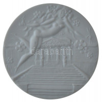 NDK DN 'Schwerini múzeuzm 100 éves' kétoldalas kerámia emlékérem Meisseni Porcelánmanufaktúra gyártói jelzésével (59mm) T:1 GDR ND. 'Schwerin Museum' two-sided ceramic medallion with mark of the Porcelain Manufactory of Meissen (59mm)