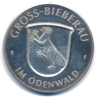Németország DN 'Gross-Bieberau im Odenwald' Ag emlékérem (19,85g/0.986/35mm) T:XF (PP)Germany ND 'Gross-Bieberau im Odenwald' Ag commemorative coin (19,85g/0.986/35mm) C:XF (PP)