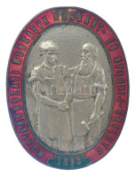 1893. 'Magyarországi Munkások Rokkant- És Nyugdíj-Egylete' zománcozott, ezüstözött gomblyukjelvény (34x26mm) T:2,2- zománchiba