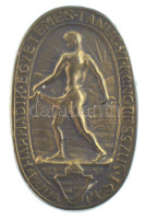 Nemes Hubert (1892- ) 1928. 'Harmadik Egyetemes Tanügyi Kongresszus - Budapest' bronz kitűző (17x21,5mm) T:XF tű hiányzik