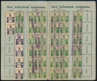 1919 Magyarországi Munkások Gyermekbarát Egyesülete. Tagsági igazolvány. bélyegekkel
