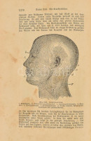 Platen, M[oritz]: Die neue Heilmethode Lehrbuch der naturgemäßen Lebensweise, der Gesundheitspflege und der arzneilosen Heilweise ein Haus und Familienschatz für gesunde und kranke. Ügynöki bemutatópéldány! Berlin - Leipzig - Wien -