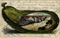 1929 Nagykőrös. Montázs uborkával (b)